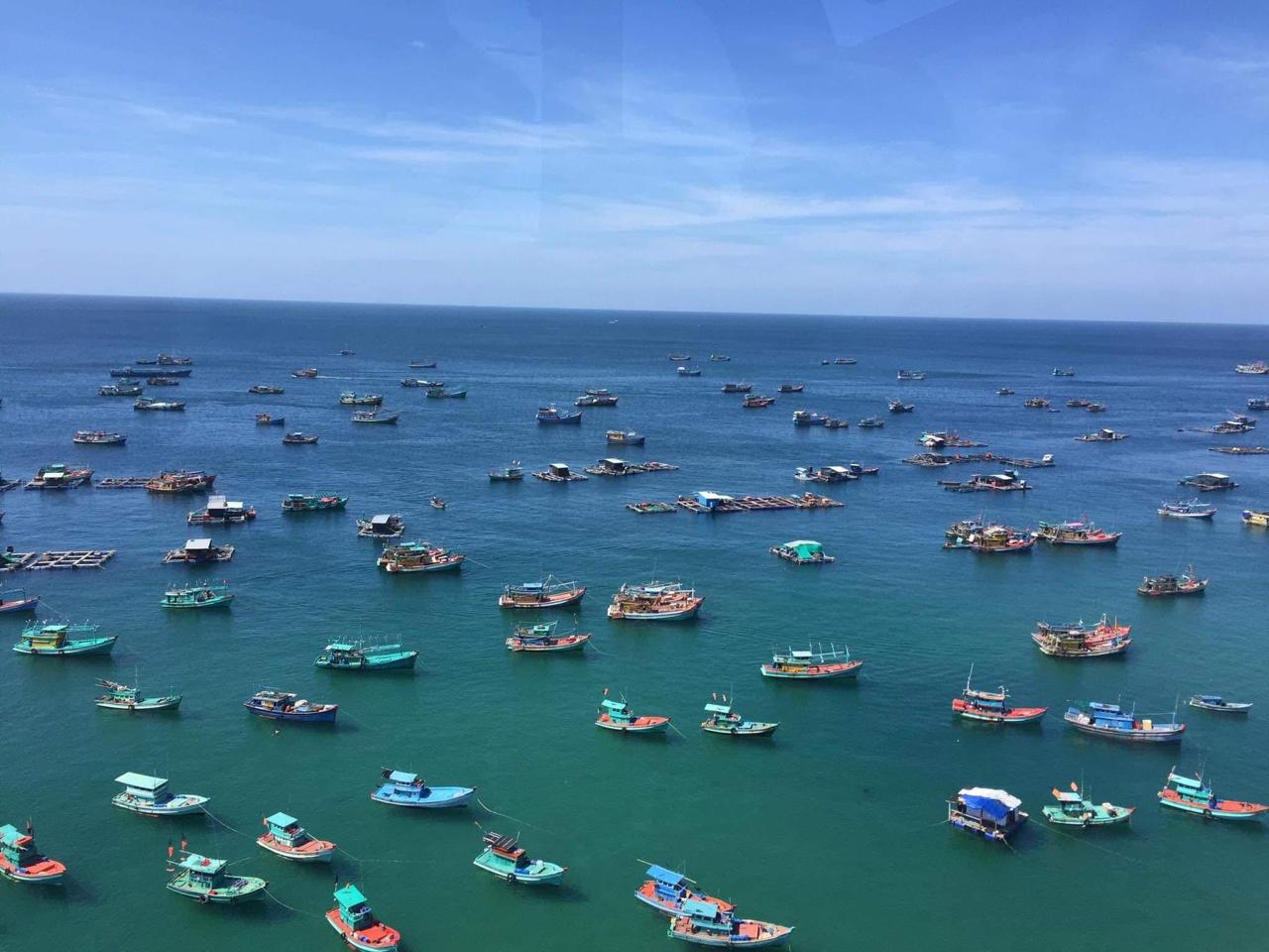Scenic coastal view in Phu Quoc with many fishing boats on calm water.